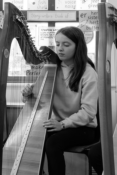 200 O'Carolan Harp Festival 2024