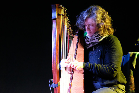 0017 Harps Together
