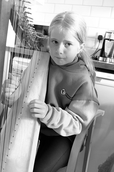240 O'Carolan Harp Festival 2024
