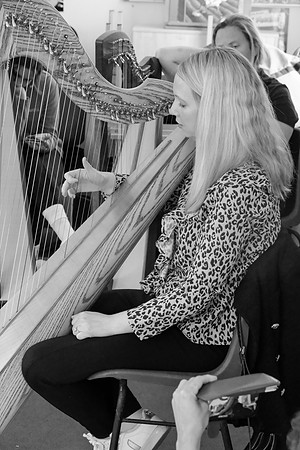 49 O'Carolan Festival Harp workshops 1st August