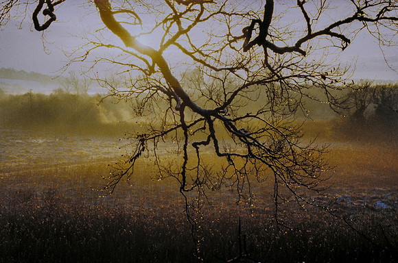 093_ AGRINA
