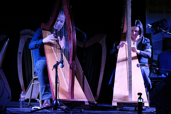 0083 Harps Together