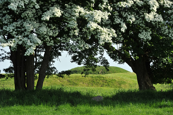 43 Hill of Tara