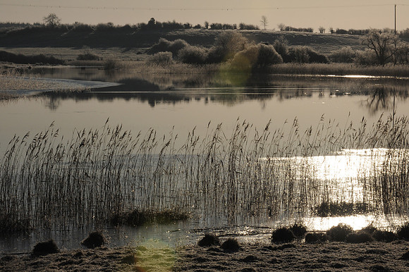 183_ AGRINA