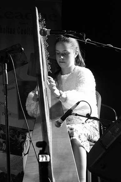 0054 Harps Together