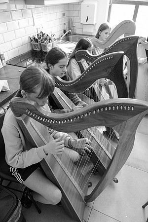46 O'Carolan Festival Harp workshops 1st August