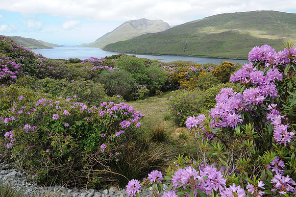 0032 Irish Landscapes