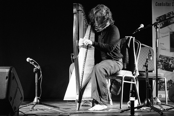 0019 Harps Together