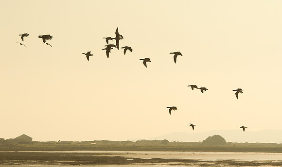 0024 Inspirational Ireland