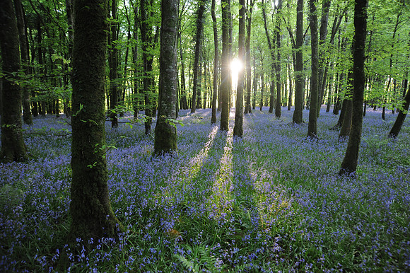 0041 Inspirational Ireland
