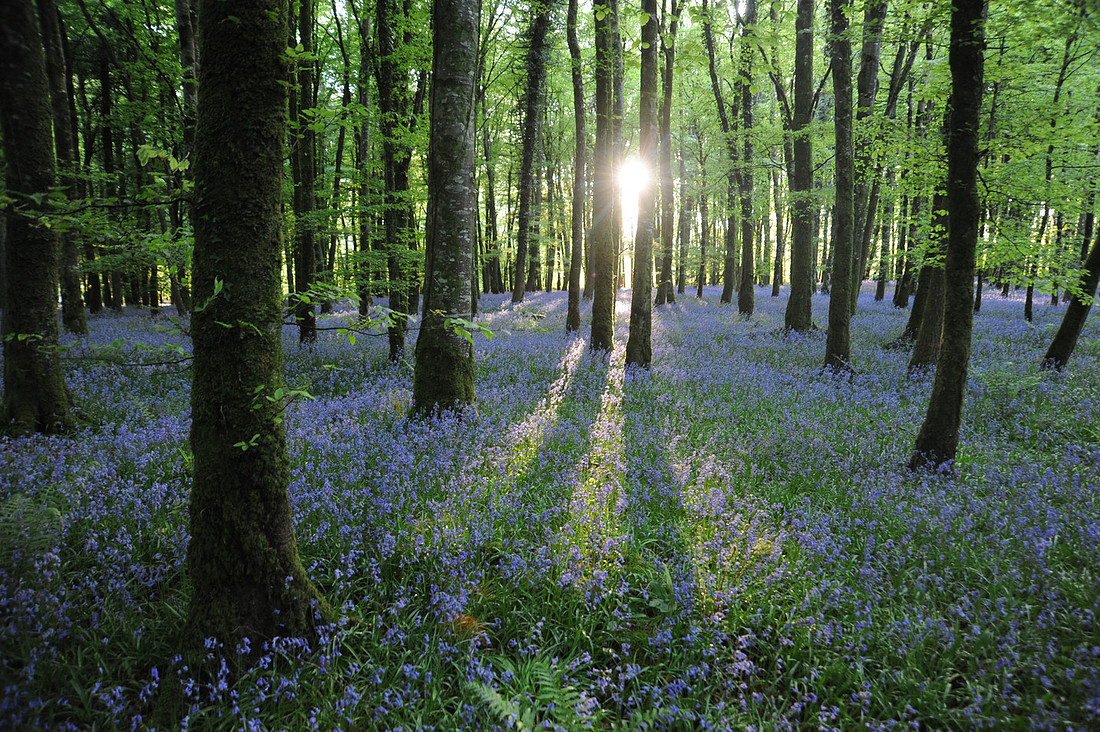 Inspirational Ireland