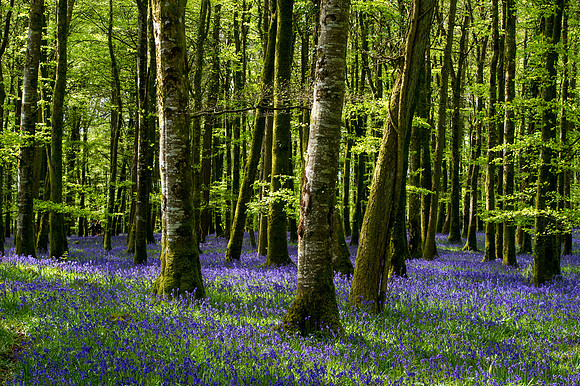 0047 Inspirational Ireland