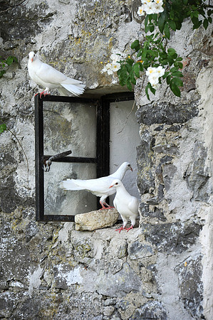 0090 Inspirational Ireland