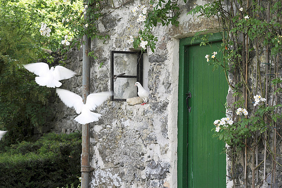 0092 Inspirational Ireland