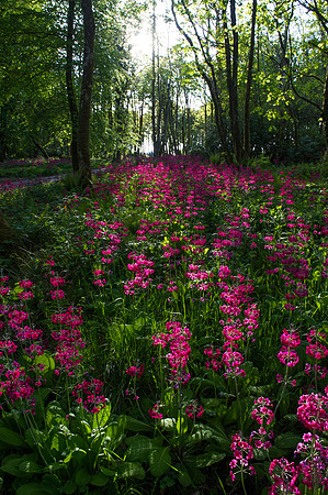 0134 Inspirational Ireland