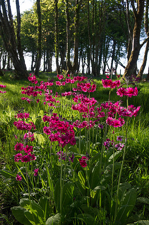 0125 Inspirational Ireland