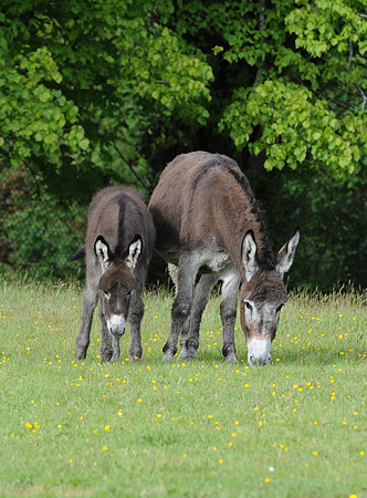 0182 Inspirational Ireland