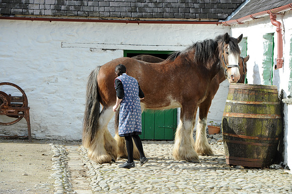 0181 Inspirational Ireland