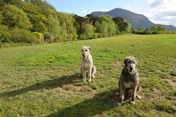 0192 Inspirational Ireland