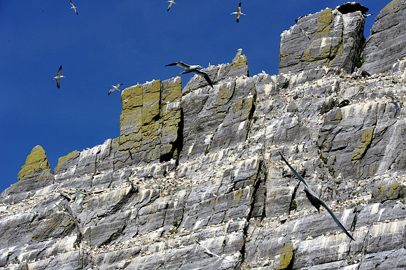 0211 Inspirational Ireland