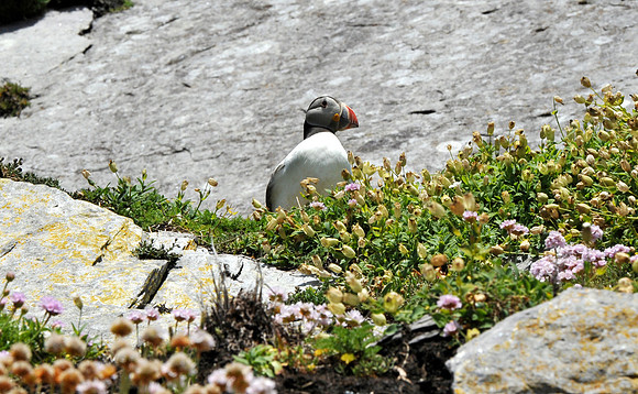 0213 Inspirational Ireland