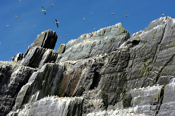0214 Inspirational Ireland