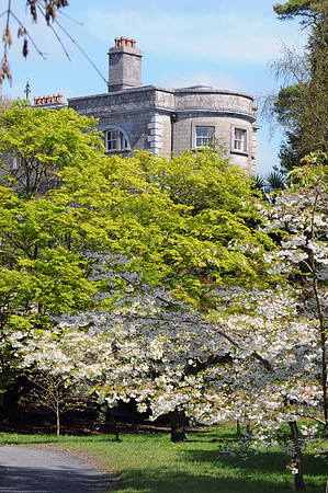 0286 Inspirational Ireland