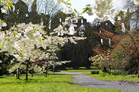 0291 Inspirational Ireland