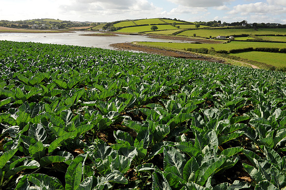 0374 Inspirational Ireland