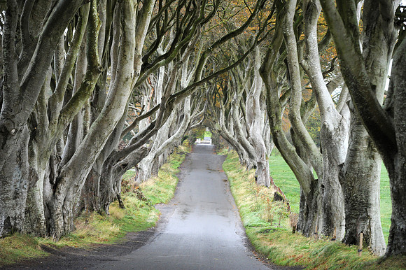 0383 Inspirational Ireland
