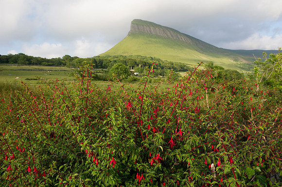 0385 Inspirational Ireland