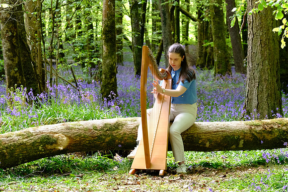 0015 O'Carolan Harp Festival and Summer School 2025