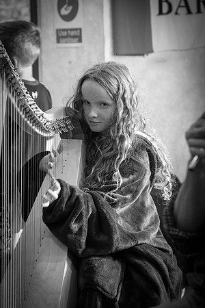 0119 O'Carolan Harp Festival and Summer School 2025
