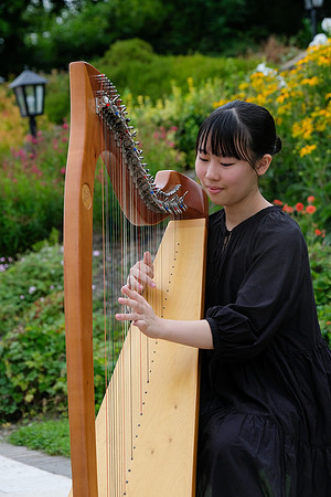 0218 O'Carolan Harp Festival and Summer School 2025