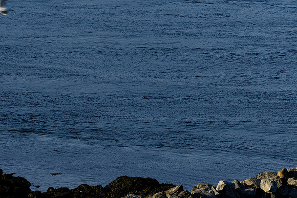 0548 Canada 26th Sept