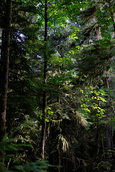 0792 Canada 26th Sept