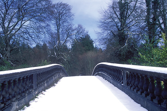 021 Ireland in the snow