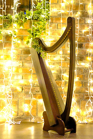 152 The Barn Photos 2nd Dec_