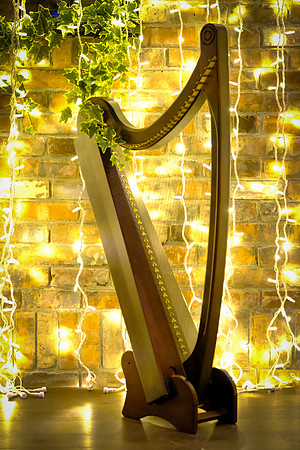 153 The Barn Photos 2nd Dec_