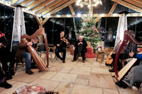 Carolan Collective at the Cedero 12th Dec