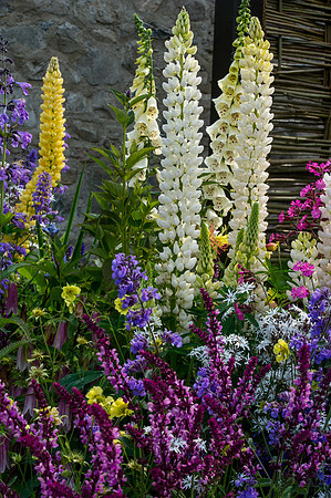 139 Irish Flowers