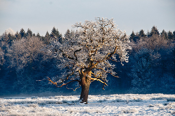035 Ireland in the snow