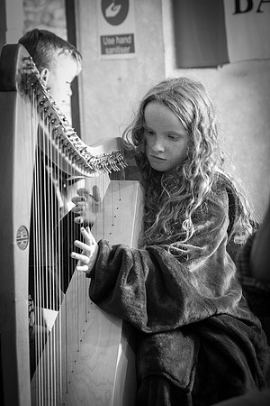 119 O'Carolan Festival workshops 341st July