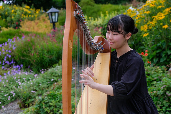289 O'Carolan Festival Harp Competitions and Tour