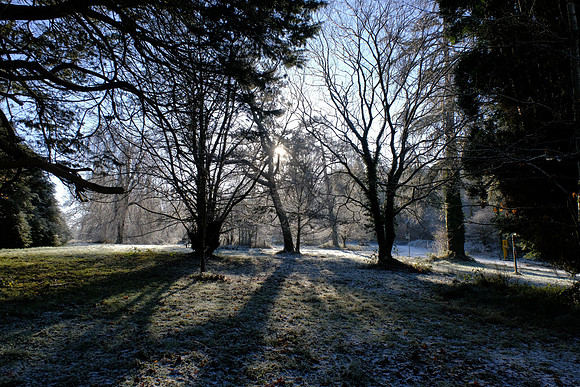 003 Snow