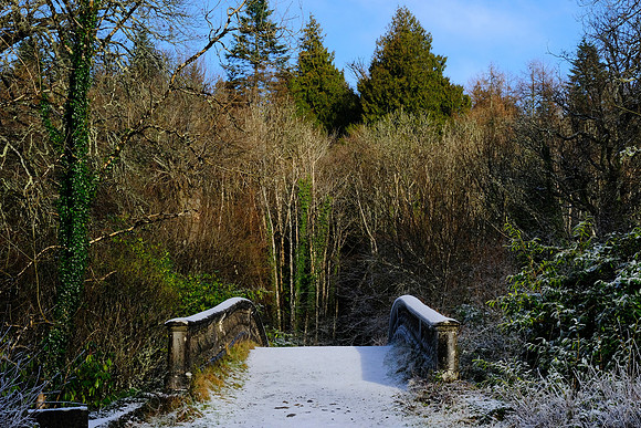 017 Snow