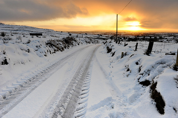 028 Snow