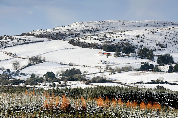 031 Snow