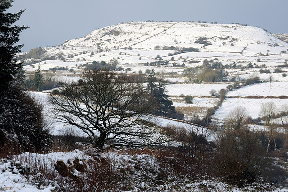 036 Snow