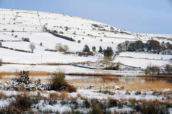 037 Snow